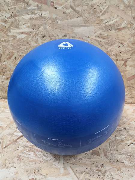 src_Gymnastický míč 55cm_1.jpg