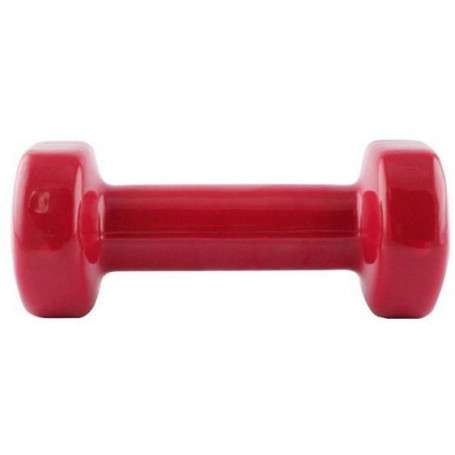 src_Litinová činka pokrytá vinylem HMS 2 kg_2.jpg