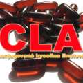 Kyselina Linolová – CLA (Ovládněte svůj cholesterol)