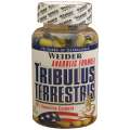 Tribulus terrestris – Vhodný doplněk pro všechny muže?